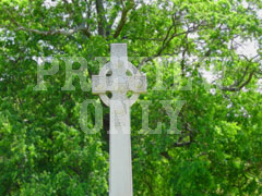 CROSS TREE